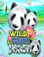 เล่น เกม สล็อต ออนไลน์ ให้สนุกและทำเงินง่ายๆ